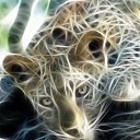 ���� �����, ������� - ��������� 3 ������ 2011 � ������ ���� ����������