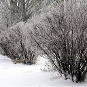  ok, --, 44  -  27  2010   --