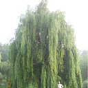 ���� Vitaliy, �������, 64 ���� - ��������� 9 ������ 2012 � ������ ���� ����������