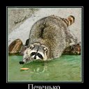 ���� �����, ������, 58 ��� - ��������� 23 ������� 2010 � ������ �������