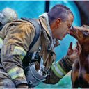 ���� ����, �����������, 50 ��� - ��������� 11 ���� 2012 � ������ �������