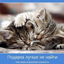  Lika,  -  12  2010   