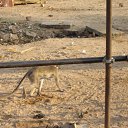 ���� �������, ������, 38 ��� - ��������� 2 ���� 2013 � ������ �real india�