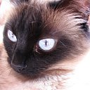 ���� ���� 34(����), ��������, 43 ���� - ��������� 4 ����� 2010