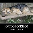 ���� �������, ������, 46 ��� - ��������� 30 ����� 2011 � ������ ��������� :)�