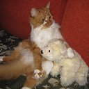  Vlad,  -  19  2011
