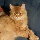 ���� �������, ������������, 63 ���� - ��������� 26 ������� 2011 � ������ �)�