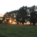 ���� �������, �������, 38 ��� - ��������� 11 ��� 2010 � ������ ���� ����� ����� �������