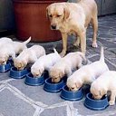 ���� �����, ���� - ��������� 25 ������� 2013 � ������ ���� ������ ������� �����, ��� ������ �������� ������)))�