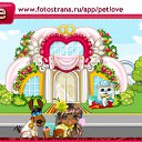  , , 45  -  31  2011   PetLove