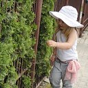 ���� �����, ������, 38 ��� - ��������� 30 ������ 2013 � ������ ���� ����������