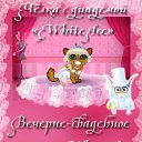 ���� ��� Vredinka, ����� - ��������� 26 ������� 2010 � ������ ������ ��������� ����������� ��� ��������� �������� "���������, �������� � ���������"�