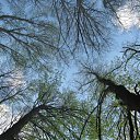 ���� �������, ����, 42 ���� - ��������� 9 ��� 2011 � ������ �������