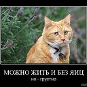 ���� ����, ������ �����, 32 ���� - ��������� 6 ������� 2010