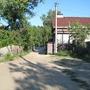       2009