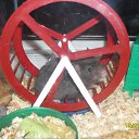 ���� ������ :3, ������, 23 ���� - ��������� 30 ������� 2010 � ������ ���� ����������