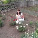 ���� �������, ����, 62 ���� - ��������� 3 ������� 2012 � ������ ���� ����������