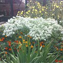 ���� ���������, ��������, 70 ��� - ��������� 14 ��� 2012 � ������ �������