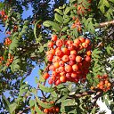 ���� ������, ������, 59 ��� - ��������� 21 ������� 2012 � ������ ���� ����