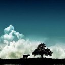  Black And, , 44  -  20  2010   