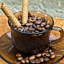  Niedara, , 51  -  5  2012   !!!!!!