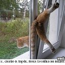 ���� ��������, ��������������, 57 ��� - ��������� 12 ������� 2009 � ������ �����������