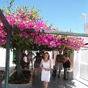 ������....����...
 �� ������� ���� ����������