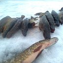 ���� ���������- ���� �������� !!, ������ - ��������� 11 ������� 2013 � ������ �11 ������� 2013�!!!!!�