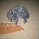 ��� �� ������� ���� ��������