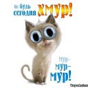 ���� �������, ����, 50 ��� - ��������� 8 ������ 2013 � ������ ���� ����������