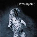 ���������?))) �� ������� ���� ����������