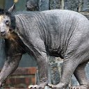 ���� �������, ���������, 35 ��� - ��������� 18 ������� 2009 � ������ �������� =)�