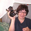 ���� �������, ���������, 64 ���� - ��������� 26 ���� 2012 � ������ ���� ����������