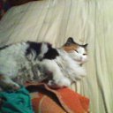 ���� �����, ������������, 38 ��� - ��������� 4 ������� 2012 � ������ ���� ��������