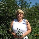  ,  -  4  2010    2010