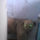 ���������� �� ������� ����� ��� ������������