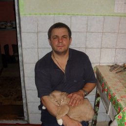 ��������, ������, 57 ���