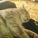 ���� ������, �����������, 49 ��� - ��������� 9 ������ 2010