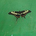 ���� ����, �����-���������, 57 ��� - ��������� 6 ������ 2011 � ������ ���� �������