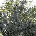 ���� �������, ������ ��������, 55 ��� - ��������� 14 ������ 2012 � ������ ���� ������� �����