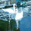  Dj Diuz, , 54  -  2  2012   