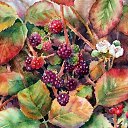  ~_o~, , 62  -  14  2012   