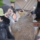 ���� ����� - ���������� ��������!!!, �����������, 56 ��� - ��������� 13 ������� 2009 � ������ ��������� (�����)�