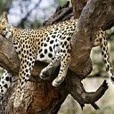 ���� �������, ���������, 44 ���� - ��������� 24 ������� 2011 � ������ �������