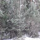 ���� �������, ��������, 48 ��� - ��������� 21 ������ 2012
