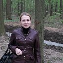 ���� ����, ������ - ��������� 3 ������ 2013 � ������ ���� ����������