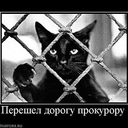 ���� �������, ��������� - ��������� 5 ������ 2013