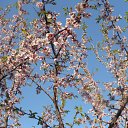 ���� Nika, ���������, 85 ��� - ��������� 3 ��� 2010 � ������ �..)�