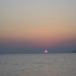 ���� ����, ������ ��������, 37 ��� - ��������� 30 ������� 2009