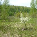  , , 69  -  29  2013    ...